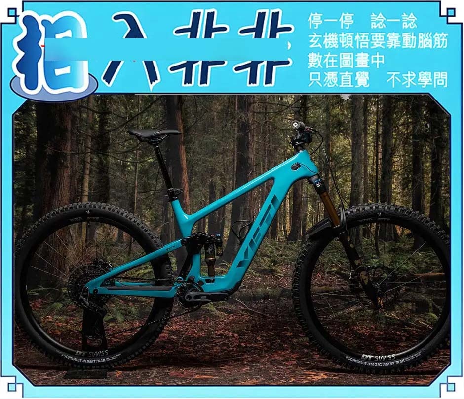 009期相入非非[图]